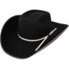 Resistol Men's Snake Eyes Wool Cowboy Hat
